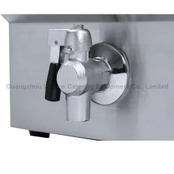 Double tank 12L Electric Fryer